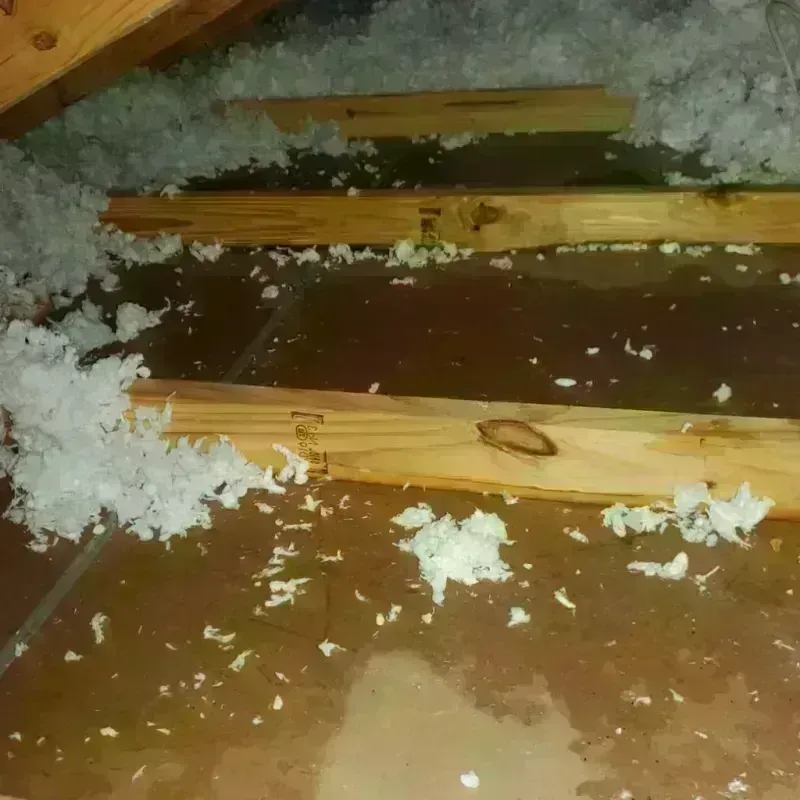 Attic Water Damage in Erie, PA