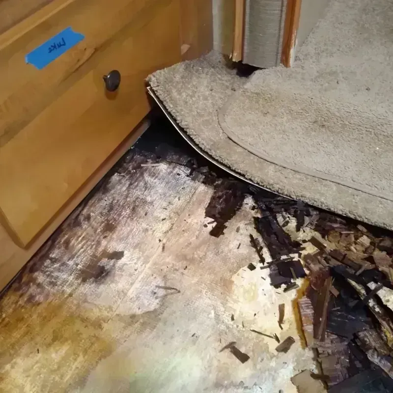 Wood Floor Water Damage in Erie, PA